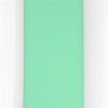 Hondenriem Waterproof Gerecycled Carribean Green Groen 100X2,5 Cm