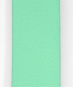 Hondenriem Waterproof Gerecycled Carribean Green Groen 100X2,5 Cm
