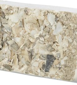 Piksteen Met Schelpen Mineralen En Mosselen 30 Gr