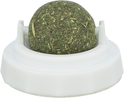 Catnip Bal Met Houder Zelfklevend 5 Cm
