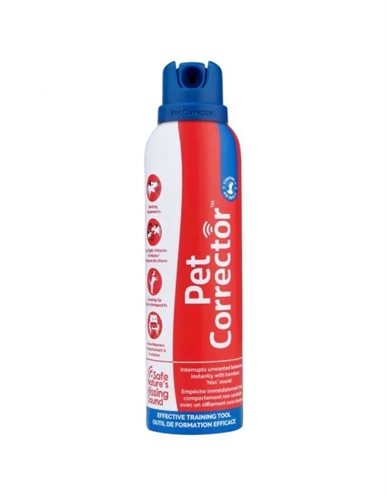 Corrector 200 Ml