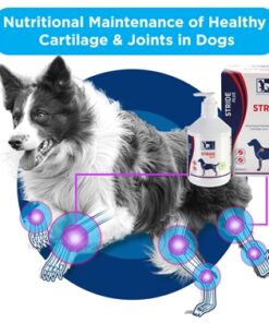 Stride Plus 500 Ml