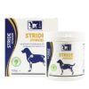 Stride Powder 500 Gr