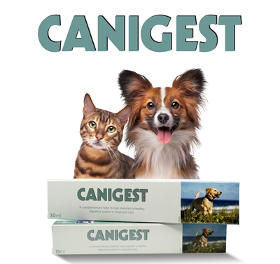 Canigest 30 Ml