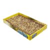 Comic String Scratcher 46,5X26X5 Cm