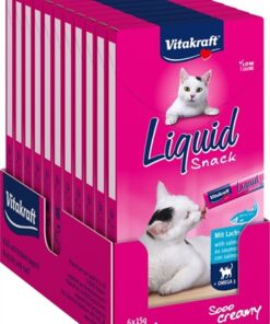 Cat Liquid Snack Zalm & Omega 11X6 St
