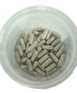 Probiotica Capsules 60 St