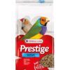 Tropische Vogel 1 Kg