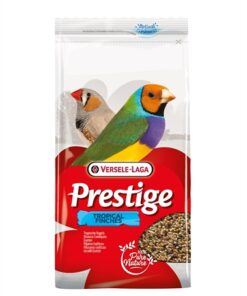Tropische Vogel 1 Kg