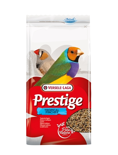Tropische Vogel 1 Kg