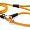Hondenriem Retrieverlijn Regular Rope Gerecycled Gold Goud 170X1 Cm