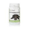 Glucosamine-Extra Hond 90 Tbl