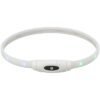 Lichtgevende Halsband Hond Usb Siliconen Oplaadbaar Meerkleurig 65X1,6 Cm
