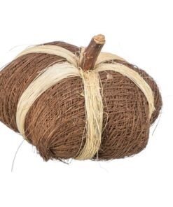 Pompoen Van Kokosvezels 9X6 Cm