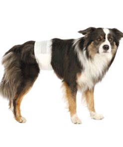 Hondenluiers Reu Xs 20-42 Cm 12 St