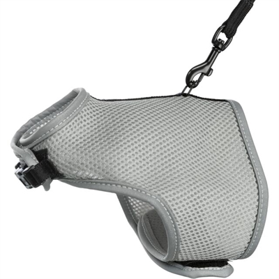 Softtuig Kat Met Riem Grijs 24-42X120 Cm