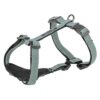 Hondentuig Citystyle H-Tuig Katoen Salie 75-120X2,5 Cm