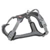 Hondentuig Premium Active Zwart 74-100X2,5 Cm