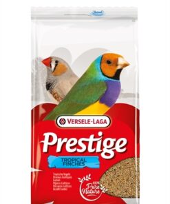 Tropische Vogel 4 Kg