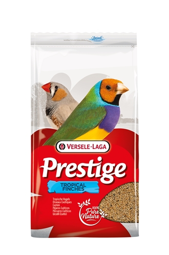 Tropische Vogel 4 Kg