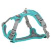 Hondentuig Premium Active Aqua 35-50X1,5 Cm