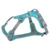 Hondentuig Premium Active Aqua 74-100X2,5 Cm