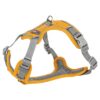 Hondentuig Premium Active Curry 35-50X1,5 Cm
