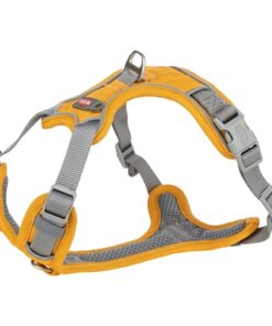 Hondentuig Premium Active Curry 35-50X1,5 Cm
