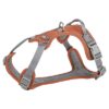 Hondentuig Premium Active Roest 74-100X2,5 Cm