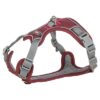 Hondentuig Premium Active Sangria 35-50X1,5 Cm