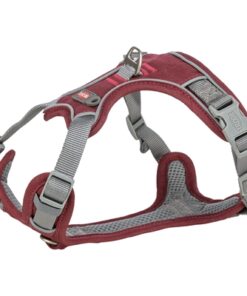 Hondentuig Premium Active Sangria 35-50X1,5 Cm