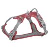 Hondentuig Premium Active Sangria 74-100X2,5 Cm