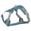 Hondentuig Premium Active Petrol 35-50X1,5 Cm