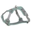 Hondentuig Premium Active Salie 35-50X1,5 Cm