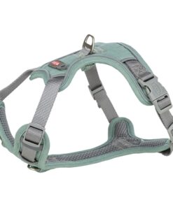 Hondentuig Premium Active Salie 35-50X1,5 Cm