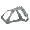 Hondentuig Premium Active Salie 74-100X2,5 Cm