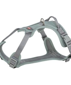 Hondentuig Premium Active Salie 74-100X2,5 Cm