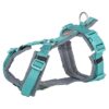 Hondentuig Premium Trekking Aqua / Grafiet Grijs 80-97X2,5 Cm
