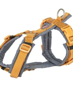 Hondentuig Premium Trekking Curry / Grafiet Grijs 80-97X2,5 Cm