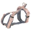 Hondentuig Premium Trekking Blush / Grafiet Grijs 80-97X2,5 Cm