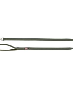 Hondenriem Premium Olijfgroen 100X2,5 Cm