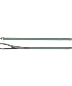 Hondenriem Premium Salie 100X2,5 Cm