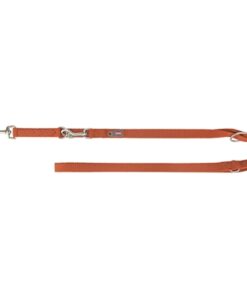 Hondenriem Premium Verstelbaar Roest Bruin 200X2,5 Cm