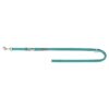 Hondenriem Premium Verstelbaar Tweelaags Aqua 200X2,5 Cm