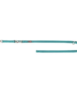 Hondenriem Premium Verstelbaar Tweelaags Aqua 200X2,5 Cm
