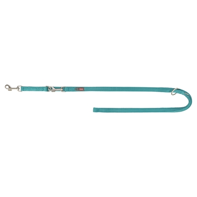 Hondenriem Premium Verstelbaar Tweelaags Aqua 200X2,5 Cm