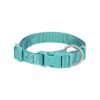 Halsband Hond Premium Aqua Blauw 40-65X2,5 Cm