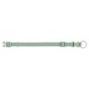 Halsband Hond Premium Salie Groen 15-25X1 Cm