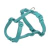 Hondentuig Premium H-Tuig Aqua 75-120X2,5 Cm