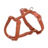 Hondentuig Premium H-Tuig Roest 75-120X2,5 Cm